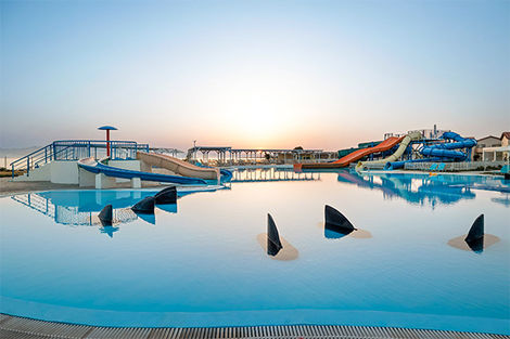 Grece : Hôtel White Olive Marine Aquapark