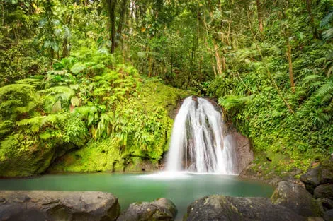 Cascade aux écrevisses