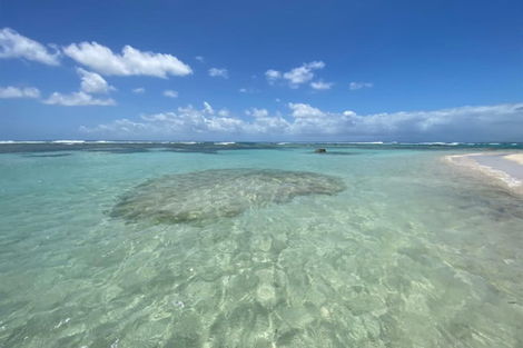 Guadeloupe : Résidence hôtelière Karucoco Lodge - Deshaies