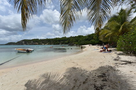 Guadeloupe : Hôtel Petit Havre