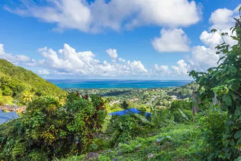 Guadeloupe : Lodge Piton Bungalows Ecolodges