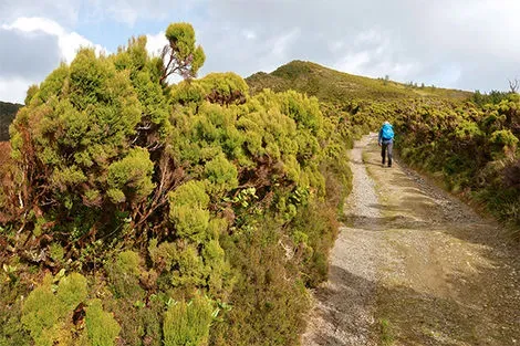 Randonnée Lagoa do Fogo