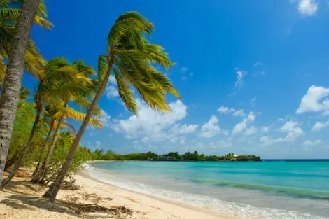 Circuit Simply Beautiful fort_de_france Iles Grenadines