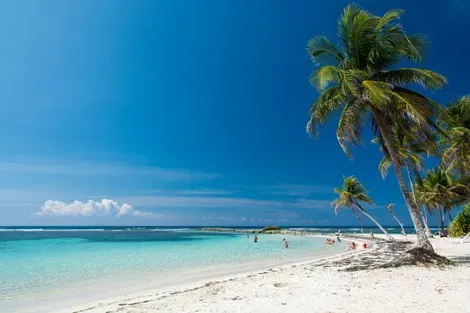 Circuit Les Antilles d'île en île fort_de_france Iles Grenadines