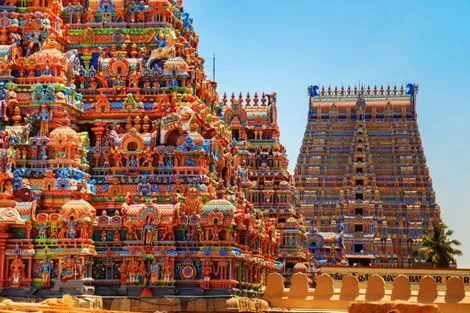Circuit Magie du Rajasthan - Limité à 16 Pers delhi Inde