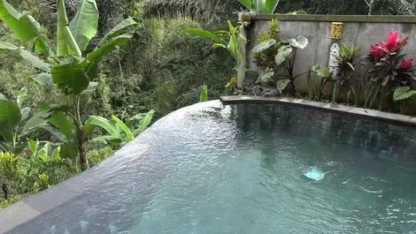 Hôtel Bali Jungle Huts sebatu INDONESIE