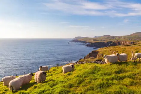 séjour Irlande - Circuit Rêve émeraude, l'Irlande du Nord