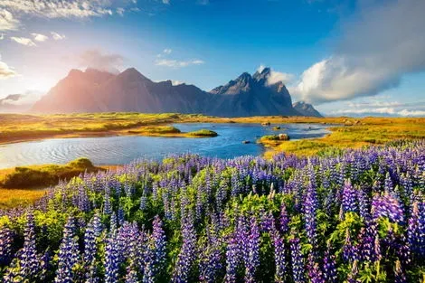 Circuit Charme de l'Islande reykjavik Islande