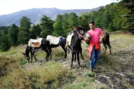 Hôtel Il Picciolo Etna Golf Resort & Spa castiglione_di_sicilia ITALIE