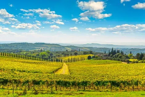 Chianti