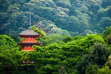 Kyoto