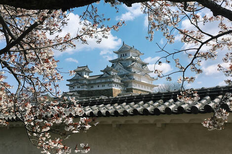 Circuit Japon, au fil des temples, des onsens et des cités osaka Japon