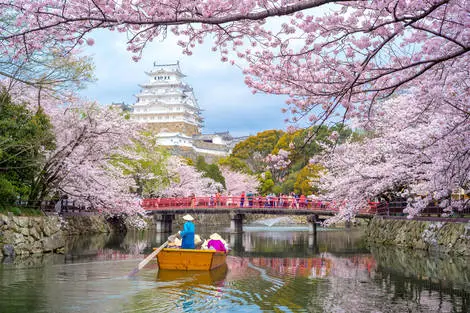 Circuit De la modernité d'Osaka aux traditions de Kyoto osaka Japon