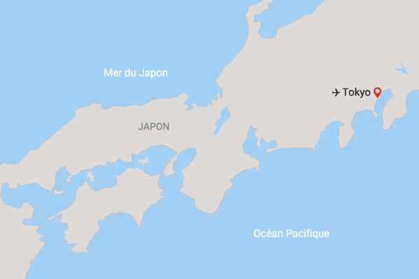 Circuit Voyage en liberté, Tokyo, écho du passé & Shinjuku coeur vibrant tokyo Japon