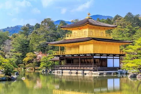 Circuit en Liberté - Intensément Japon en tokyo Japon