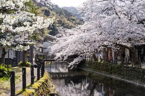 Circuit Le Japon, au fil des temples et des saveurs et extension Kinosaki Onsen tokyo Japon