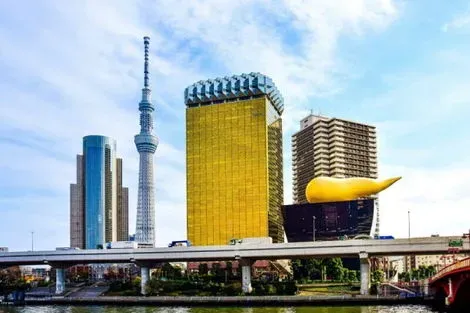 Circuit En liberté plongée dans l'Univers du Japon 3* - 8 nuits tokyo Japon