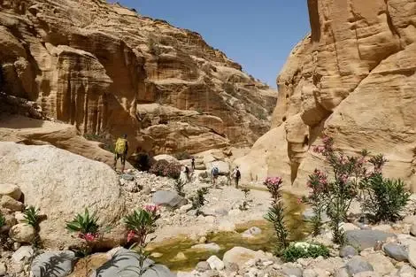 Circuit Au fil des Wadis et des sables éternels de Jordanie (maximum 12 participants) amman Jordanie