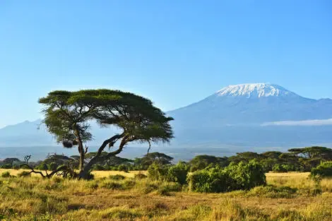 séjour Kenya - Combiné circuit et hôtel Framissima Evasion Barracuda Resort 4* avec 3 nuits Tsavo Est/Ouest et Amboséli