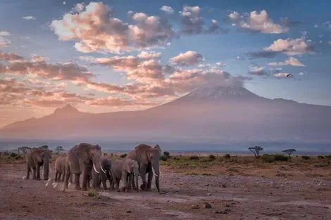 Kenya : Hôtel Voyager Beach Resort 4* + Safari 2 nuits