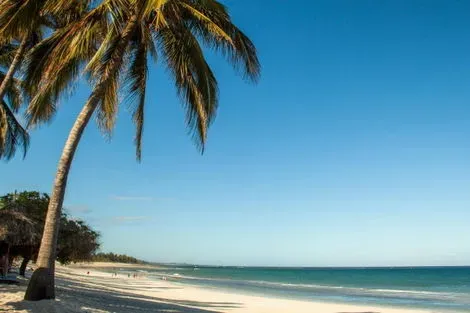Circuit Détente à Mombasa & Safaris à Tsavo mombasa Kenya