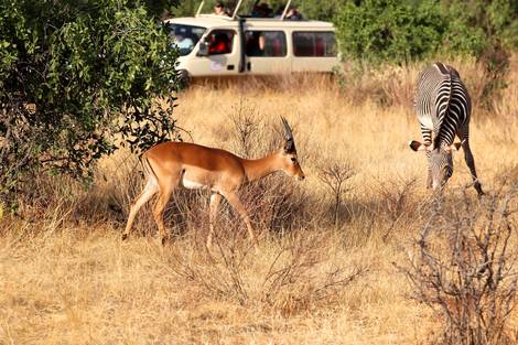 séjour Kenya - Combiné circuit et hôtel Framissima Evasion Barracuda Resort 4* avec 1 nuit Tsavo Est