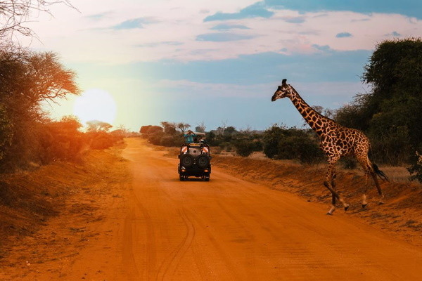 séjour Kenya - Combiné circuit et hôtel « Safari inoubliable au Kenya : Masai Mara, Naivasha & Amboseli » & séjour en Ôclub