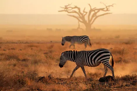 Amboseli