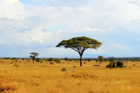 Tsavo Est