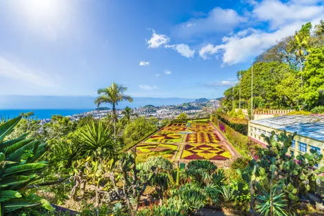 Circuit Madère Saveur Rando funchal Madère