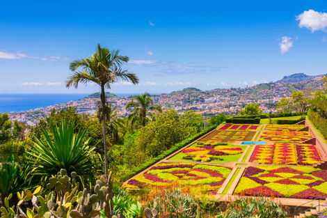 Jardin botanique à Funchal