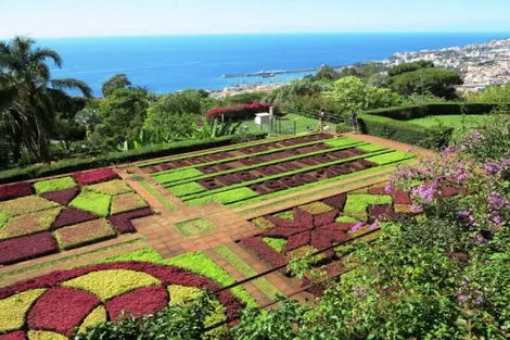 Circuit Balade à Madère funchal Madère