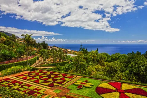 Jardin Funchal