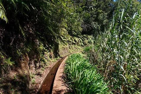 Levada do Rei