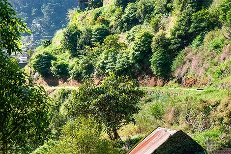 Levada dos Marocos