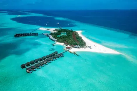 Hôtel Dhigufaru Island Resort atoll_de_baa Maldives