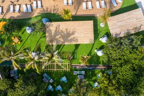 Restaurant Green Carpet