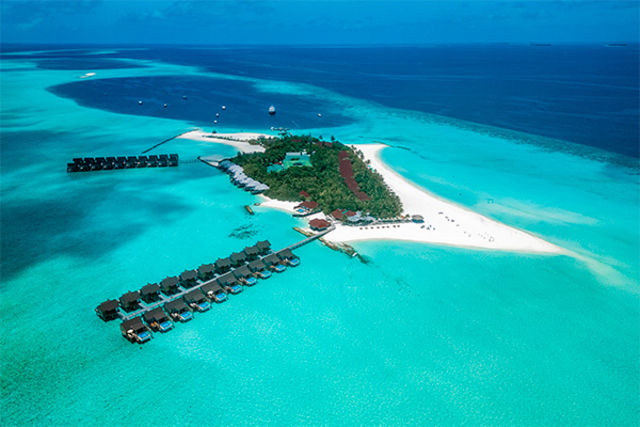 Maldives : Hôtel Dhigufaru Island Resort