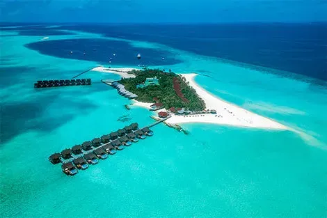 Maldives : Hôtel Dhigufaru Island Resort