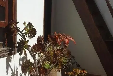 Hôtel Ryad Les Sultanes essaouira MAROC