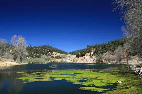 Azrou