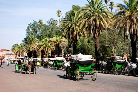 Les calèches à Marrakech