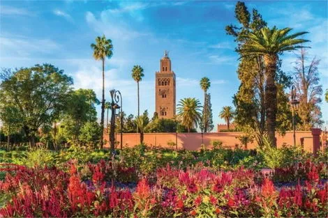 Circuit Sud Marocain marrakech Maroc