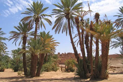 Zagora