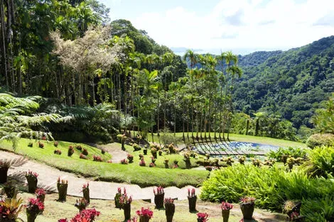 Jardin de Balata