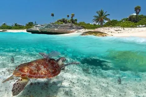 Circuit Secrets Mayas et Club Jumbo Riu Lupita avec vols Air Caraïbes - Vente Flash cancun Mexique