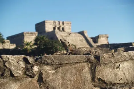 Circuit Séjour de rêve au Yucatan cancun Mexique