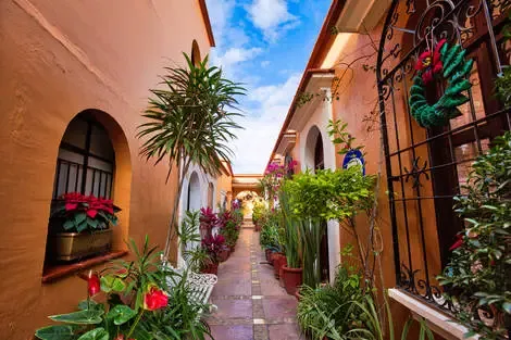 séjour Mexique - Combiné circuit et hôtel Couleurs mexicaines + extension Framissima Évasion Tulum Riviera