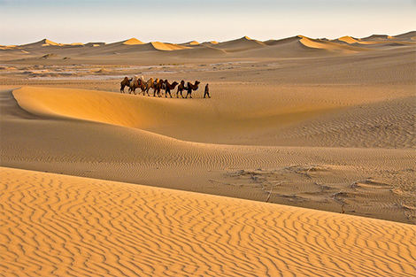 Désert de Gobi