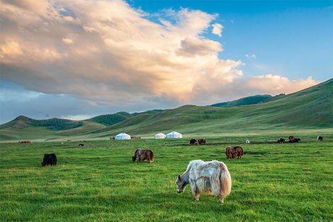 Région de l'Arkhangai